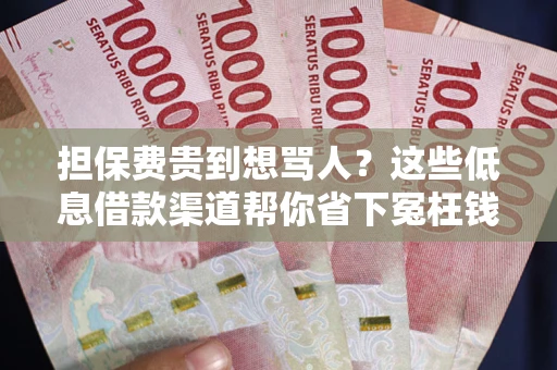 济南担保费贵到想骂人？这些低息借款渠道帮你省下冤枉钱