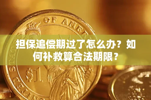 济南担保追偿期过了怎么办？如何补救算合法期限？