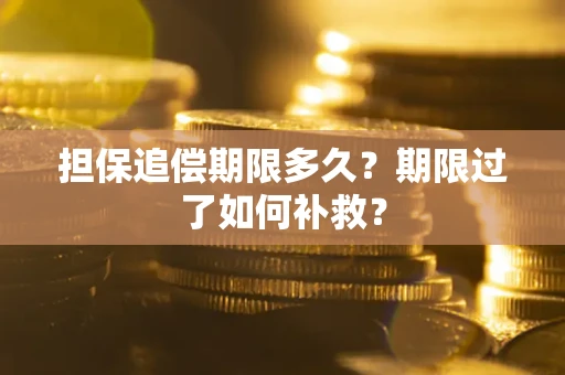 济南担保追偿期限多久？期限过了如何补救？