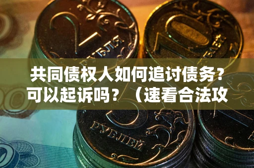 济南共同债权人如何追讨债务？可以起诉吗？（速看合法攻略）