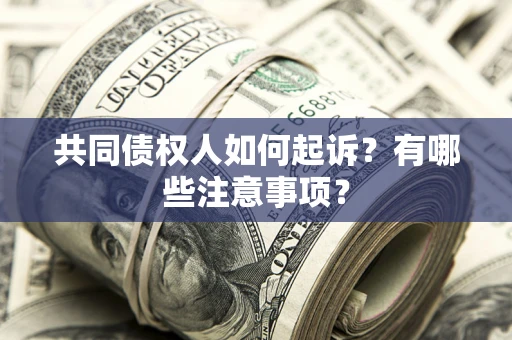 济南共同债权人如何起诉？有哪些注意事项？